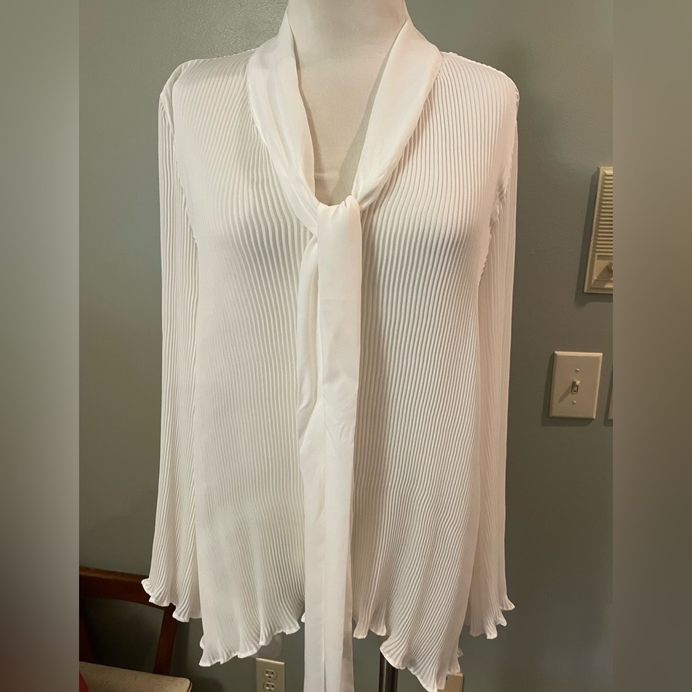 NWT Pleated Ivory chiffon long sleeve top - XL